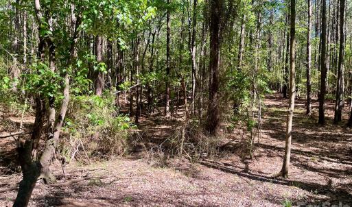 Photo #1 of White Store, Polkton, NC