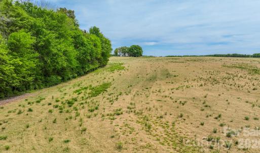 Photo #7 of Wolf Pond, Monroe, NC