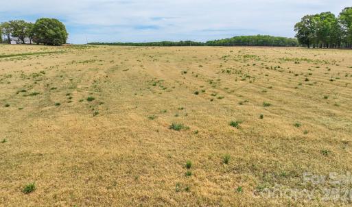 Photo #9 of Wolf Pond, Monroe, NC