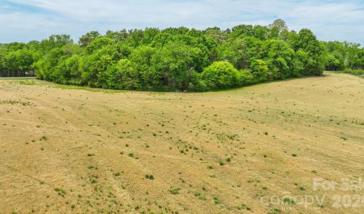 Photo #8 of Wolf Pond, Monroe, NC
