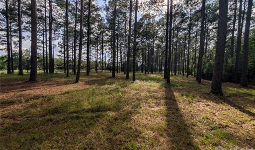 Photo #2 of Blessed Hope, York, SC