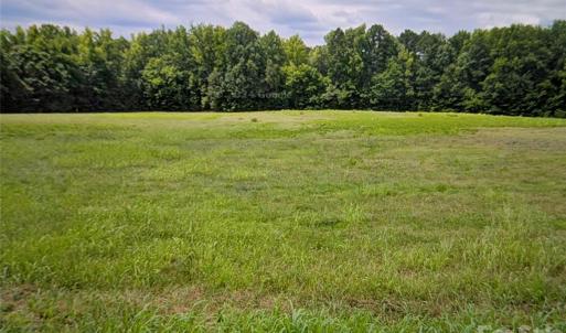 Photo #1 of Oak, McConnells, SC