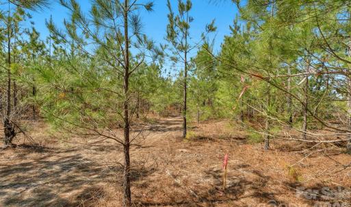 Photo #11 of 931 Charlie Johnson, Kershaw, SC