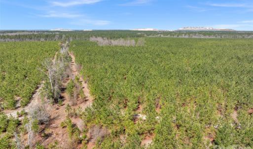 Photo #40 of 931 Charlie Johnson, Kershaw, SC