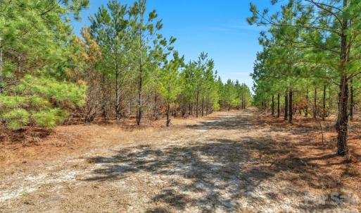 Photo #16 of 931 Charlie Johnson, Kershaw, SC