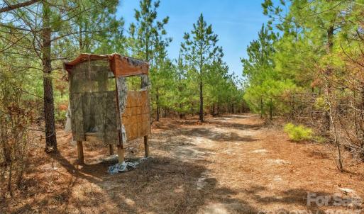 Photo #28 of 931 Charlie Johnson, Kershaw, SC