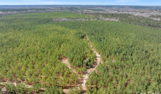 Photo #45 of 931 Charlie Johnson, Kershaw, SC