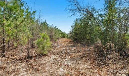 Photo #24 of 931 Charlie Johnson, Kershaw, SC