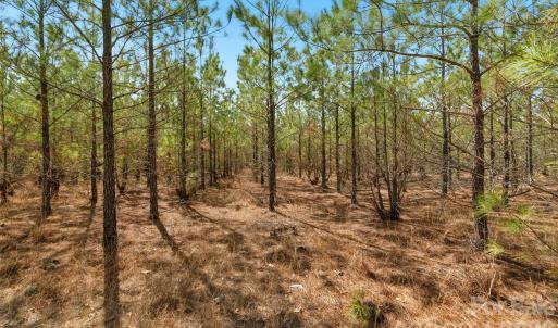 Photo #7 of 931 Charlie Johnson, Kershaw, SC