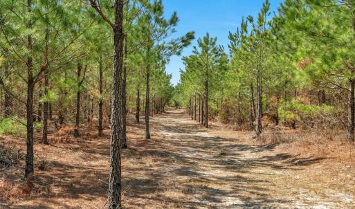 Photo #32 of 931 Charlie Johnson, Kershaw, SC