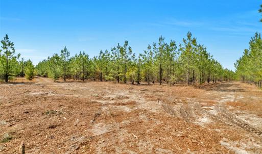 Photo #12 of 931 Charlie Johnson, Kershaw, SC