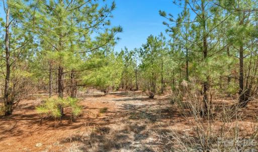 Photo #19 of 931 Charlie Johnson, Kershaw, SC