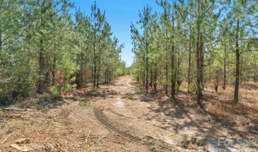 Photo #37 of 931 Charlie Johnson, Kershaw, SC