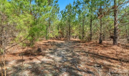 Photo #22 of 931 Charlie Johnson, Kershaw, SC