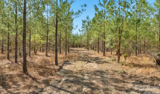 Photo #34 of 931 Charlie Johnson, Kershaw, SC