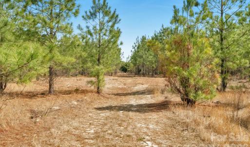 Photo #30 of 931 Charlie Johnson, Kershaw, SC