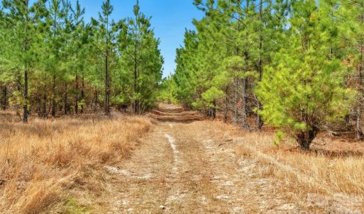 Photo #31 of 931 Charlie Johnson, Kershaw, SC