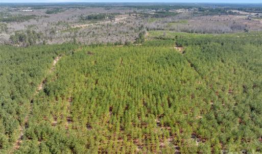 Photo #47 of 931 Charlie Johnson, Kershaw, SC