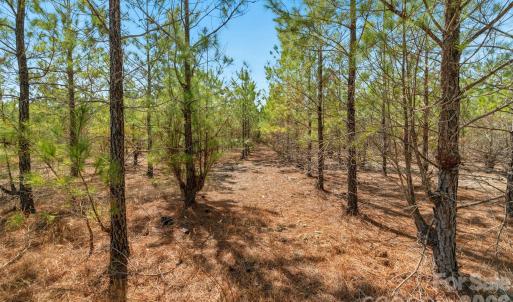 Photo #10 of 931 Charlie Johnson, Kershaw, SC