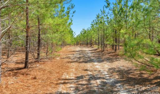 Photo #8 of 931 Charlie Johnson, Kershaw, SC