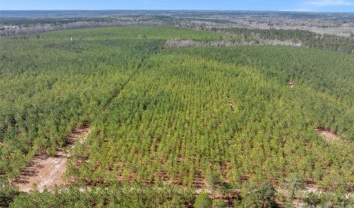 Photo #3 of 931 Charlie Johnson, Kershaw, SC