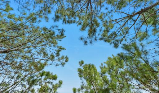 Photo #18 of 931 Charlie Johnson, Kershaw, SC