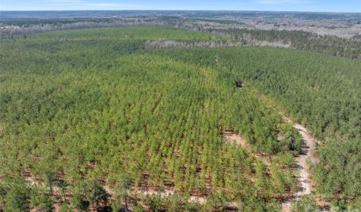 Photo #43 of 931 Charlie Johnson, Kershaw, SC