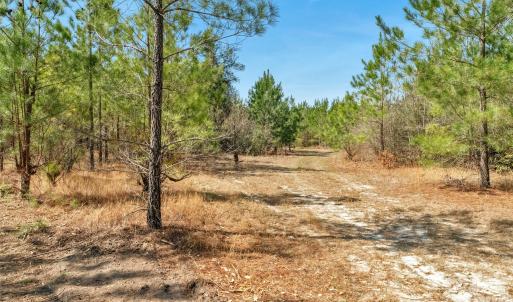 Photo #35 of 931 Charlie Johnson, Kershaw, SC