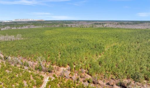 Photo #39 of 931 Charlie Johnson, Kershaw, SC