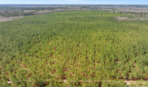 Photo #41 of 931 Charlie Johnson, Kershaw, SC