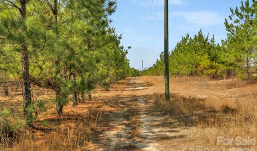 Photo #6 of 931 Charlie Johnson, Kershaw, SC