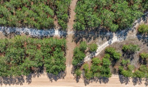 Photo #15 of 931 Charlie Johnson, Kershaw, SC