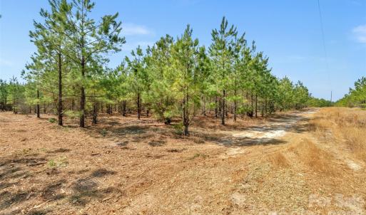 Photo #11 of 931 Charlie Johnson, Kershaw, SC