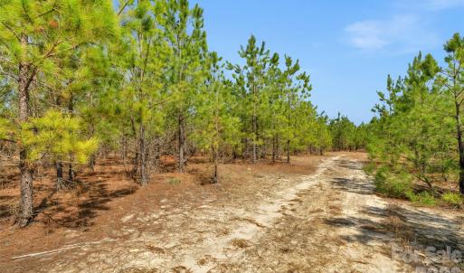 Photo #7 of 931 Charlie Johnson, Kershaw, SC