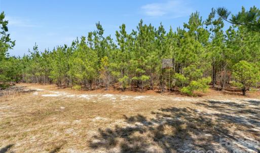 Photo #24 of 931 Charlie Johnson, Kershaw, SC