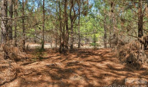 Photo #21 of 931 Charlie Johnson, Kershaw, SC