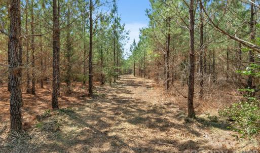 Photo #30 of 931 Charlie Johnson, Kershaw, SC