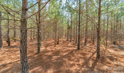 Photo #16 of 931 Charlie Johnson, Kershaw, SC