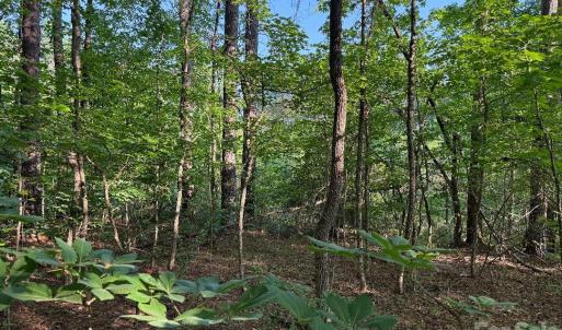 Photo #3 of 3249 Sherman, Lancaster, SC