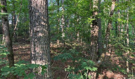 Photo #2 of 3249 Sherman, Lancaster, SC