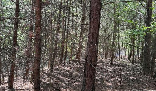 Photo #40 of 18524 Mainsail, Lancaster, SC