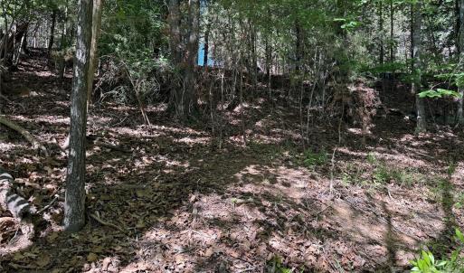 Photo #10 of 18524 Mainsail, Lancaster, SC