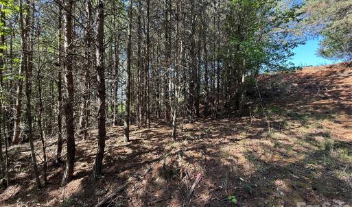 Photo #39 of 18524 Mainsail, Lancaster, SC