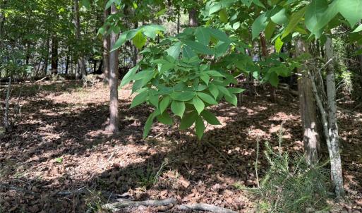Photo #37 of 18524 Mainsail, Lancaster, SC