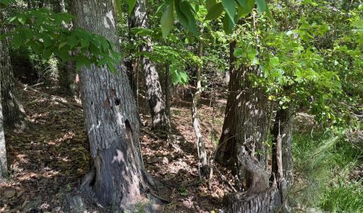 Photo #38 of 18524 Mainsail, Lancaster, SC