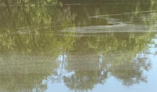 Photo #14 of 18524 Mainsail, Lancaster, SC