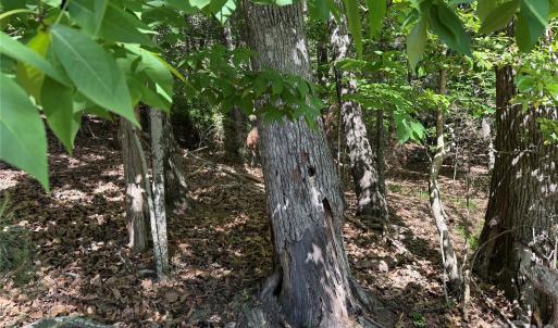 Photo #11 of 18524 Mainsail, Lancaster, SC
