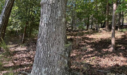 Photo #37 of 18524 Mainsail, Lancaster, SC
