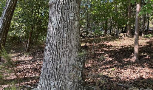 Photo #35 of 18524 Mainsail, Lancaster, SC