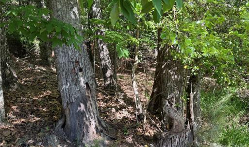 Photo #40 of 18524 Mainsail, Lancaster, SC